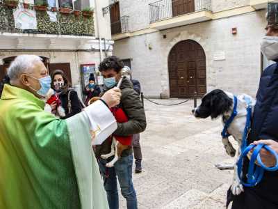 I tre animali, in braccio ai loro padroni, vengono disposti in fila davanti al prete che benedice ognuno di loro per due volte, prima di fare il segno della croce e tornare in chiesa